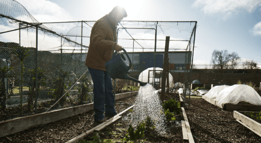 Bethlem Garden watering