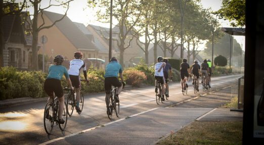 Cyclists going down a tree lined road