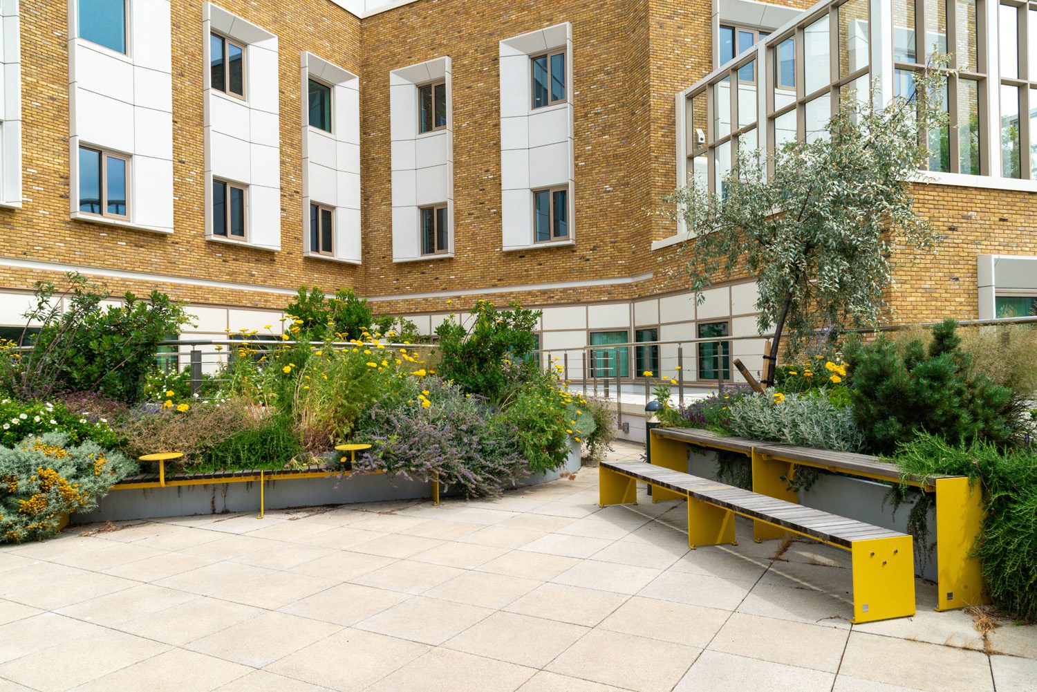 Ourdoor social space, with yellow benches among plants, all in front of a brick building