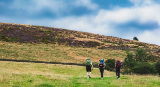 Three people walking together up a fairly steep grassy slope, towards a hill top covered with purple flowering heather.