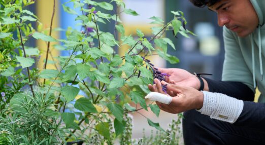 A young man outdoors looking at a flower of a plant, held loosely within his hands